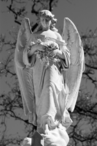 Angel Photograph taken in Cemeteries in New Orleans Area